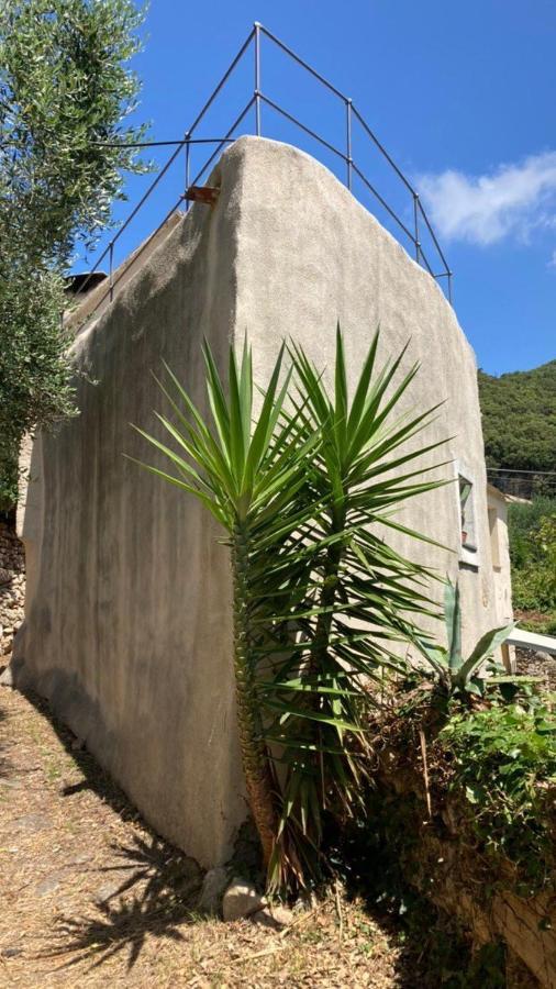 Casa Olivia Lacrema Finale Ligure Εξωτερικό φωτογραφία