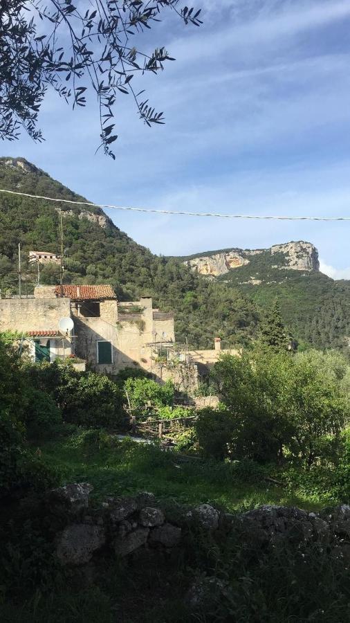 Casa Olivia Lacrema Finale Ligure Εξωτερικό φωτογραφία